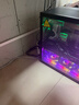 AMD銳龍7 9800X3D主機 RTX5080/5070TI/RX9070XT顯卡千幀電競游戲深度學(xué)習設計臺式電腦DIY組裝機整機 五 9800X3D/RTX5070TI 16G 曬單實(shí)拍圖