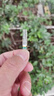 ZOBO正牌過(guò)濾煙嘴 一次性過(guò)濾器拋棄型細支煙專(zhuān)用咬嘴 罐裝100支 曬單實(shí)拍圖