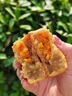 鄉公館生咸鴨蛋黃正宗大顆烘焙專(zhuān)用中秋月餅餡料原料新鮮紅心咸蛋黃咸蛋 40枚440g【真蛋黃 松沙流油 0添加】 曬單實(shí)拍圖