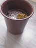 五月花茶水桶9L干濕分離茶渣桶加厚廢水桶茶盤排水桶茶葉不帶排水管 曬單實拍圖