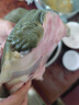 秋季 鮮活外塘生態(tài)甲魚(yú)野外生長(cháng)放養冷水團魚(yú)王八老鱉活體 3.0-3.2斤外塘野養老鱉 曬單實(shí)拍圖