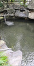浮水飛碟增氧泵戶(hù)外釣魚(yú)專(zhuān)用增氧機便攜氧氣泵養魚(yú)打氧機自動(dòng)充氧 Pro版 +帶間歇+氣石套餐+磁吸充電器 曬單實(shí)拍圖