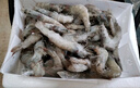 鯨口大開(kāi)新鮮青島大蝦超大蝦凍蝦白蝦鮮活冷凍對蝦大號青蝦海鮮批發(fā) 16-18厘米鮮蝦速凍整箱 3斤(凈重) 曬單實(shí)拍圖