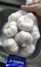 大蒜頭出口品質(zhì)網(wǎng)兜紫蒜蔬菜調料新鮮大果燒烤火鍋食材 【精品網(wǎng)兜裝】5頭裝 0.37g 曬單實(shí)拍圖