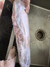 甄灘記 寧夏鹽灘羊肉 精修羔羊腿生鮮羊肉燒烤池羊后腿新鮮現宰年貨禮盒 5斤精修灘羊排 曬單實(shí)拍圖