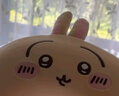 名創(chuàng  )優(yōu)品（MINISO）Chiikawa系列U型枕Usagi烏薩奇記憶棉護頸枕午睡枕汽車(chē)飛機頸枕 曬單實(shí)拍圖