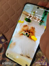 榮耀400 ProAI 2億超清寫(xiě)真人像 青海湖大電池 12+256 流沙粉 5G AI 新款 學(xué)生 拍照手機 國家補貼 曬單實(shí)拍圖