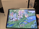 HUAWEI MatePad Pro 12.2英寸 2025 柔光版 國家補貼華為平板電腦雙層OLED柔光屏WIFI 12GB+256GB飛天青  曬單實(shí)拍圖