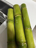 京鮮氣陶山甘蔗新鮮當季青皮陶山甘蔗當季特產(chǎn)綠皮甘蔗脆皮甘蔗整箱切斷 精選甘蔗5斤 普通裝 曬單實(shí)拍圖