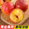 東北大紅袍李子5斤3斤新鮮干碗李子大果農家直采 重量 5斤 曬單實(shí)拍圖