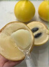 優(yōu)味集冬蜜黃晶果【順豐JD】云南牛奶雅美新鮮稀有孕婦水果鮮果時(shí)令生鮮 1斤 精選中果（單果150g-200g） 曬單實(shí)拍圖