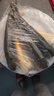 產(chǎn)地直采寧德冰鮮黃花魚400g-500g/條 曬單實(shí)拍圖