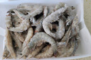 海云馨蝦活蝦速凍生鮮青島大蝦海蝦海鮮水產(chǎn)鮮活冷凍凍蝦超大白蝦 16-18cm整箱 3斤(凈重)  活蝦速凍 曬單實拍圖