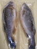 冰鮮海鱸魚(yú)鮮活冷凍海釣深海鱸魚(yú)七星鱸魚(yú)白鯧魚(yú)餐飲采購 新鮮海鱸魚(yú)1條裝【1-1.2斤/條】 曬單實(shí)拍圖