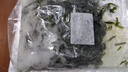 鮮海帶 鹽漬海帶絲 涼拌菜海帶絲食材鮮嫩 新鮮鹽漬海帶絲250g 曬單實拍圖