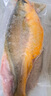 味爾佳 寧德厚切三去大黃魚500g 對半切 免殺即烹 寧德黃花魚 生鮮魚類 曬單實拍圖
