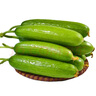京地達山東水果小黃瓜  凈重5斤 單果100g+ 現摘新鮮蔬菜源頭直發(fā)包郵 曬單實(shí)拍圖