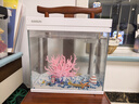 森森（SUNSUN）超白魚(yú)缸一體缸自循環(huán)客廳水族箱桌面家用懶人免換水小型金魚(yú)缸 超白HEJ300標配+粉珊瑚景 曬單實(shí)拍圖