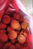 荔枝干 高州原產(chǎn)地 正宗桂味荔枝干 無硫 無添加 特級 精選大果 精選袋裝 500g*1袋 曬單實拍圖