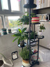 蝸家花架客廳落地式可移動(dòng)陽(yáng)臺植物置物架鐵藝多層室內多肉花盆托架黑 曬單實(shí)拍圖