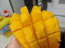 山姆伯伯 凱特芒果【多地次日達(dá)】攀枝花新鮮芒果水果海南芒果水果禮盒 5斤裝【較劃算-20%人選】凈4.5斤 【清甜 | 3A精選級】單果250-300g+ 曬單實(shí)拍圖