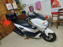 航爵（HANGJUE）全新猛士大踏板燃油摩托車(chē)150CC摩旅機車(chē)國四電噴Nmax整車(chē)可上牌 玉石白 +尾箱（40L） 曬單實(shí)拍圖