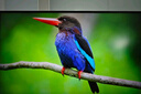 小米（MI）REDMI 23.8英寸顯示器 144Hz IPS技術(shù) 專(zhuān)業(yè)級(jí)色準(zhǔn) 低藍(lán)光 電競(jìng)電腦辦公顯示器顯示屏 A24 2026款 曬單實(shí)拍圖