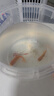 招財(cái)寵物魚冷水觀賞草金魚錦鯉魚好養(yǎng)耐活包郵包活 【1-3厘米】 招財(cái)金魚3條裝 曬單實(shí)拍圖