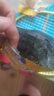 小鹿藍藍DHA藻油芝麻拌飯海苔碎高鈣高蛋白下飯調味品健康營(yíng)養兒童零食 【DHA藻油】拌飯海苔碎*1袋100g 曬單實(shí)拍圖