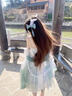 唐努烏洛麗塔裙子大全套Lolita優(yōu)雅華麗中華風(fēng)甜美仙氣連衣裙 草色背帶裙+邊夾+披肩+手袖 M 曬單實(shí)拍圖