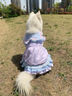 狗狗衣服大型犬寵物春夏公主大中型犬綁帶網(wǎng)紗裙寵物狗狗貓咪衣服 寵物小禮品一個(gè) 8XL胸100背70約56-80斤 曬單實(shí)拍圖