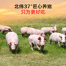 1號會員店 帶皮豬五花肉 凈重3斤 精品五花肉烤肉紅燒肉燒烤食材  曬單實拍圖