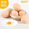 黔蛋無雙貴州富硒紅心雞蛋20/30/50枚裝 富硒蛋-50枚（每枚50克） 曬單實(shí)拍圖