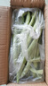 新鮮現(xiàn)摘四季豆角農(nóng)家蔬菜九月青油豆角整箱蔬菜生鮮源頭直發(fā) 云南四季豆新鮮現(xiàn)摘【凈重2斤】 曬單實拍圖