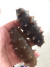 參王朝大連即食海參 1斤 7-10只 固形物85% 冷凍遼刺參海鮮中秋禮品簡(jiǎn)裝 曬單實(shí)拍圖