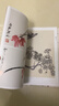 4冊《齊白石畫(huà)集》一卷花鳥(niǎo)二卷果蔬三卷魚(yú)蝦蟹四卷山水人物8開(kāi)畫(huà)冊寫(xiě)意范本書(shū)籍蟲(chóng)草牡丹荷花中國畫(huà)技法教材程 曬單實(shí)拍圖