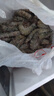 漁游記青島大蝦氣凍蝦基圍蝦青蝦白蝦凈重3斤海蝦對蝦 曬單實(shí)拍圖