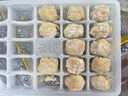 袁記味享鮮蝦蟹籽云吞500g 手工包制餛飩餃子水餃 兒童早餐抄手 袁記云餃 曬單實(shí)拍圖