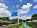 維達（Vinda）有芯卷紙【孫穎莎推薦】棉韌4層140節*30卷 親膚無(wú)刺激衛生紙整箱 曬單實(shí)拍圖