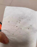 優(yōu)美加虱子藥兒童頭虱人用頭發(fā)虱立凈去除小孩頭上長(cháng)虱子虱卵一掃光專(zhuān)用 1盒裝【頭虱一噴凈】 曬單實(shí)拍圖
