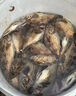誘魚(yú)劑海釣小藥添加劑海魚(yú)餌料路亞肉食魚(yú)釣魚(yú)濃腥味餌料強效誘魚(yú) 一瓶【海釣誘魚(yú)劑】體驗裝 曬單實(shí)拍圖