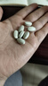 安利（Amway）紐崔萊鈣鎂錳鋅銅維生素D 補多種礦物質(zhì)中老年成人鈣片骨骼保健 安利鈣鎂250片 曬單實(shí)拍圖