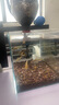 YEE魚(yú)缸金晶超白金魚(yú)裸缸8060家用客廳桌面小草缸龜缸玻璃生態(tài)溪流缸 【送上樓】60*30*35*6mm裸缸【推薦】 曬單實(shí)拍圖