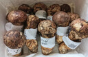 華田禾邦香格里拉新鮮松茸1斤出口級精選A9-12cm單根約20-40g禮盒源頭直發(fā) 曬單實(shí)拍圖