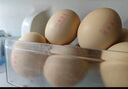 1號(hào)會(huì)員店 可生食標(biāo)準(zhǔn)鮮雞蛋30枚 凈重3斤 1號(hào)會(huì)員店自有品牌  源頭直發(fā) 曬單實(shí)拍圖