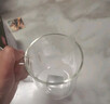 富光高硼硅玻璃杯花茶杯子單層果汁杯牛奶杯帶把帶刻度水杯男女 曬單實(shí)拍圖