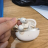 QCY C50 小耳球 藍牙耳機耳夾式AI翻譯 不漏音骨傳導(dǎo)概念碳纖維振膜云感佩戴通話降噪長續(xù)航 奶昔白 曬單實拍圖