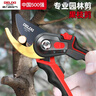 德力西電氣（DELIXI ELECTRIC）園藝剪刀剪樹(shù)枝專(zhuān)用剪刀花藝剪園林果樹(shù)修枝剪 【雙色柄】 曬單實(shí)拍圖