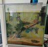 HANYANG魚缸底砂黃金沙水草南美雨淋化妝細沙免洗龜缸水族養(yǎng)魚造景2kg 曬單實拍圖