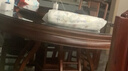 babycare嬰兒安撫枕頭寶寶多功能睡覺(jué)抱枕透氣軟糖枕0-6月星樂(lè )之城40*12CM 曬單實(shí)拍圖